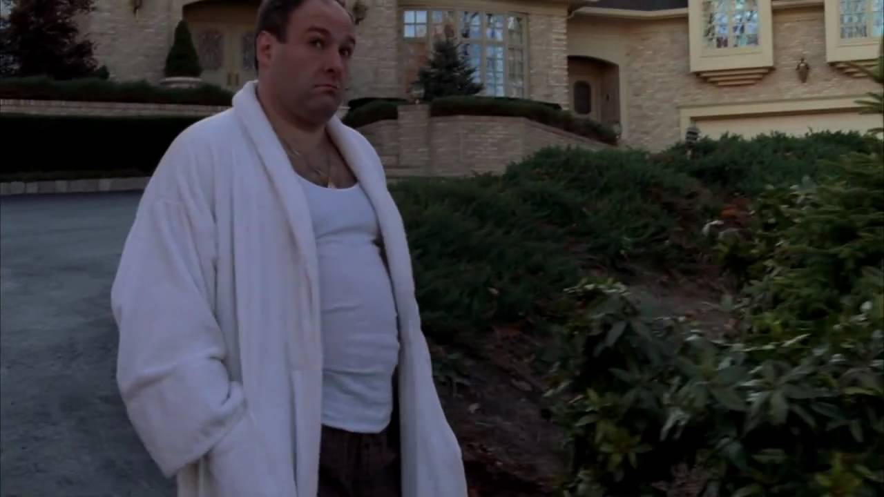 The 20 Best Musical Moments On The Sopranos Billboard
