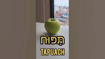How to say  apple in Hebrew🍎Learn Hebrew everyday !#learnhebrew #prohebrew #ulpan #tlvculture #Hebr