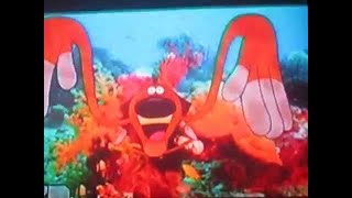 Intro De Zig Y Sharko En Español Latino