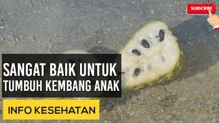 8 Manfaat Buah Srikaya Untuk Anak-Anak Yang Jarang Orang Tahu