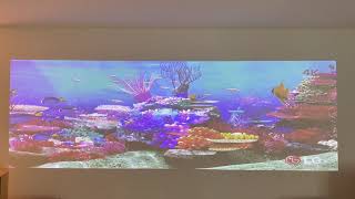 GeoBox UD100 4K projector edge blending and warping (ft. BenQ LK953ST 4K projector) screenshot 4