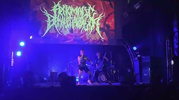 Axiomatic Dematerialization - Intervention in Anthropocentrism live MOD