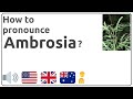 How to pronounce Ambrosia in english?