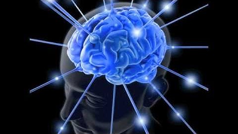 Genetic Brain Profiling