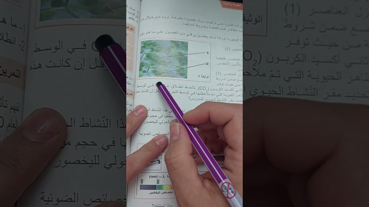 العلاقة بين اليخضور و التركيب الضوئي سنة أولى ثانوي علوم تجريبية