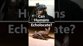 Can Humans Echolocate like Bats?  🦇