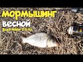 Мормышинг. клюёт только на эту приманку... #срыбалки #fishing