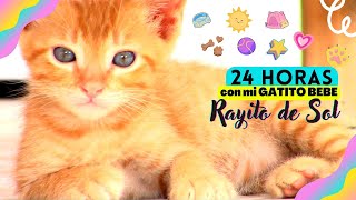 🌞24 HORAS CUIDANDO A GATITO BEBE!🍼 Volvemos al PASADO! 😽💗 Rayito de sol