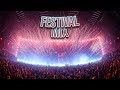 Best Fesitval Mix Of 2019┃Newest Songs & House Electro┃Deep Charts & EDM ♫♫♫