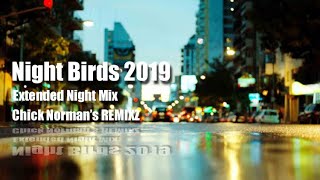 Night Birds 2019 - Extended Night Mix / Shakatak & Toshiki.K