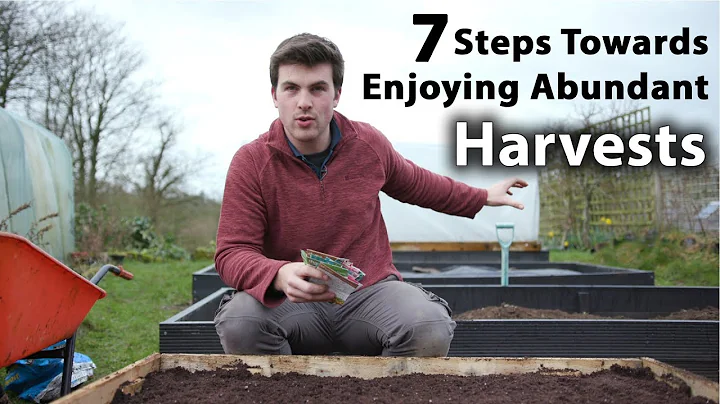 7 Simple Steps to Success for you FIRST Ever Raised Bed