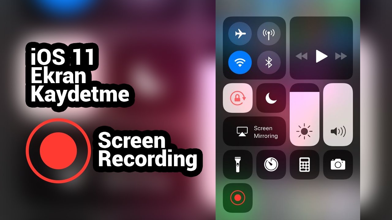 screen picture