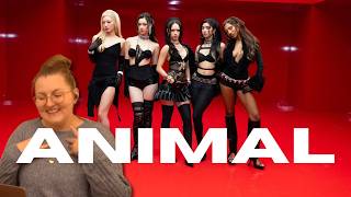 REACTING TO "ANIMAL" M/V BY KATSEYE