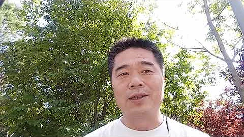 中国对近代史的误读来自不理解经济产业发展逻辑 - 天天要闻