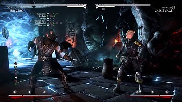 Mortal Kombat X - Sub-Zero (Cryomancer Variation) Beginners Guide