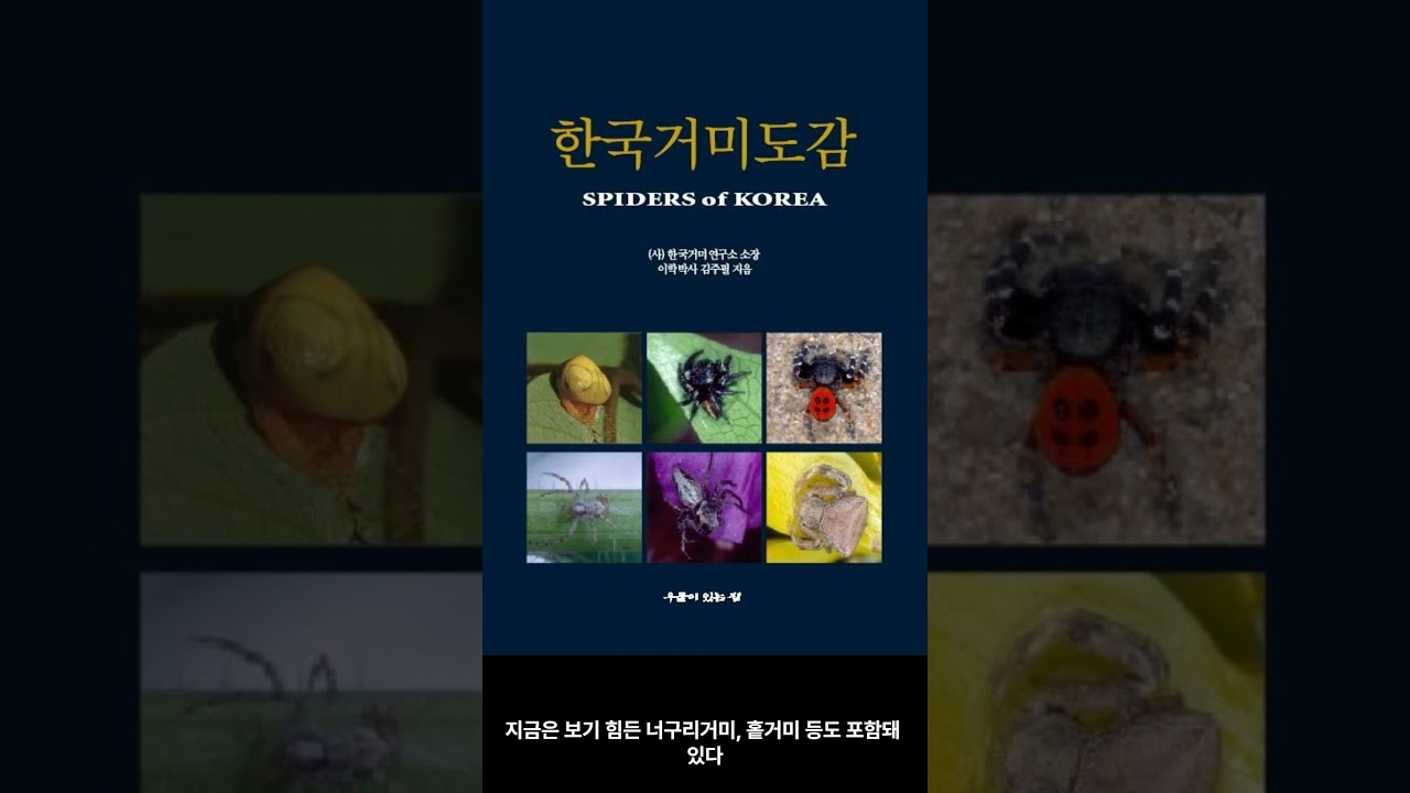 [5월 신간도서] [과학] 한국거미도감 / 저자 : 김주필 / 출판사 : 우물이있는집 