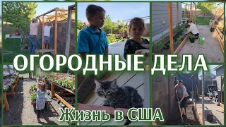 НАКОНЕЦ-ТО ВЫСАДИЛА 🍅●СЧАСТЛИВАЯ ЖЕНА СЧАСТЛИВАЯ ЖИЗНЬ●ХОЛОДНО.