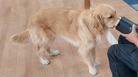 予告【切り抜き】我が子の為にパパが買ったアイテムとは？