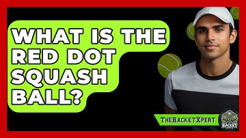 What Is The Red Dot Squash Ball? - The Racket Xpert