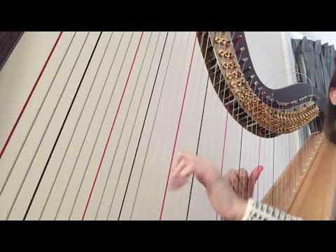 Handel  - Tema Con Variazioni for Harp