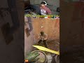POV: When the whole team becomes a cat  #counterstrike2 #counterstrike #counterstrikefacts #gaming