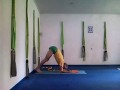 Pincha Mayurasana przy ścianie