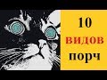 Как могли навести порчу на вас? 10 видов порч