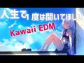 人生で一度は聴いてほしい！！KAWAII EDMメドレー！【作業用BGM】