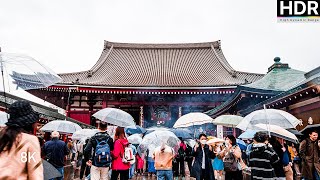 【8K HDR】Walking in the rain, Senso-ji Tokyo ASMR Immersed by City Odyssey 41 views 5 months ago 31 minutes