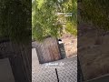 مستوطنون يقتحمون ساحات مساكن المواطنين في خلة الحمص جنوب يطا  #shorts #short #shortsclip