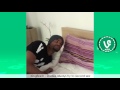 Vine blog 4