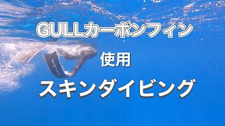 GULLスキンカーボンフィン・スキンダイビング沖縄・ディーズパルス沖縄