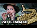 EATING a RATTLESNAKE from the BACKYARD || OFF GRID Tiny Living