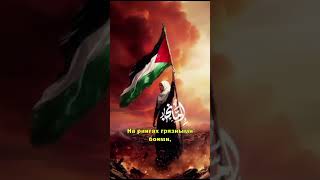 Помолимся за Мусульман 🤲😔Мир Палестине ♥️