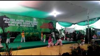 Pentas Akhir Tahun 2016 - Performance Taekwondo SDN Menteng 02 (tegal del peru) Jakarta