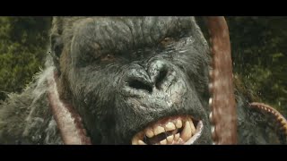 Nuke Compositing reel : Senior Compositor feature film demo reel