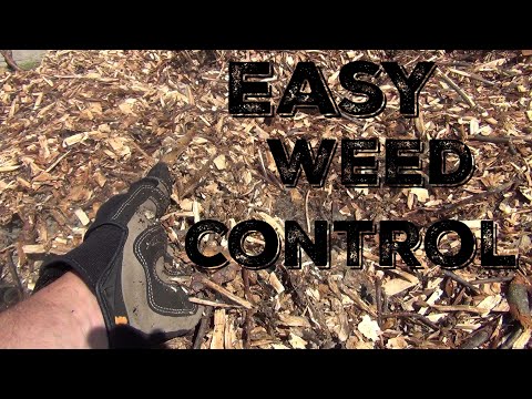 2 Ways to Control Weeds in Your Orchard or Garden