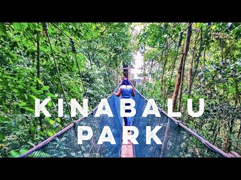 Amazing Borneo's Mount Kinabalu National Park & Poring Hot Springs Day Tour