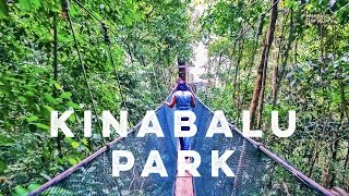 Amazing Borneo's Mount Kinabalu National Park & Poring Hot Springs Day Tour