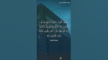 #بلغوا_عني_ولو_آيه بصوت هشام مجدي الآية      ٢٤  الي      ٢٥ من سورة الأنفال