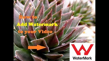 How to Add Watermark to a Video with Camtasia Studio