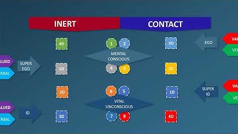 MODEL A in socionics