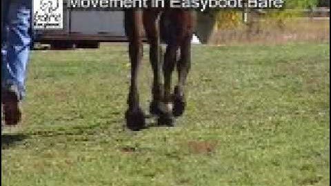 Movement in Easyboot Bare