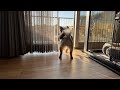 天くんの遺伝子異常について