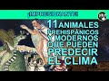 11 Animales prehispánicos y modernos que pueden predecir el clima y 1 más.