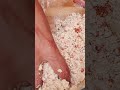 jawar Jim jam biscuit #food #shortsfeed #shorts #cooking