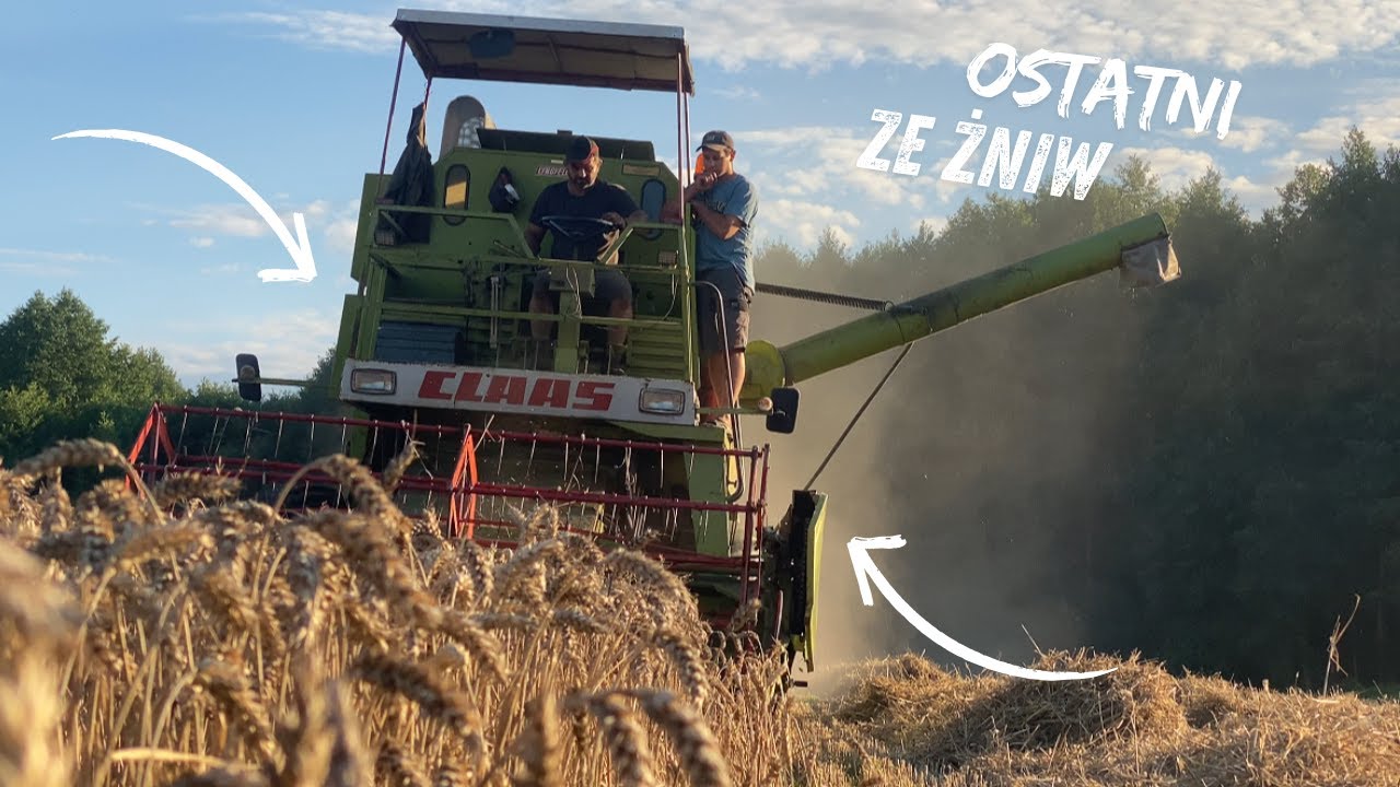 Żniwa Przenicy 2025!!✔Gr Awianowicz✔Ostatni Vlog Ze Żniw?