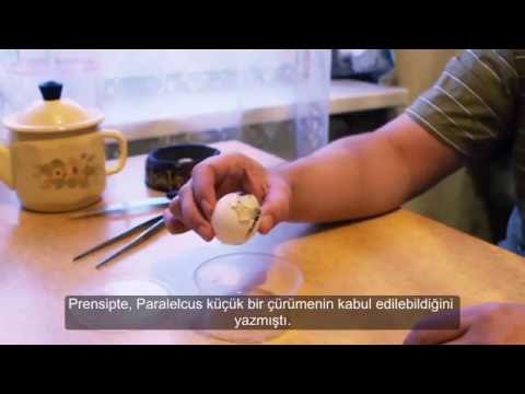 Video: Bir insan yumurtası ne kadar eder?