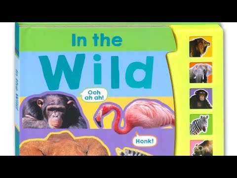 In the wild animal sound books - YouTube