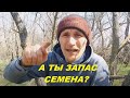 Семена овощей на всю жизнь. Собираем коллекцию.